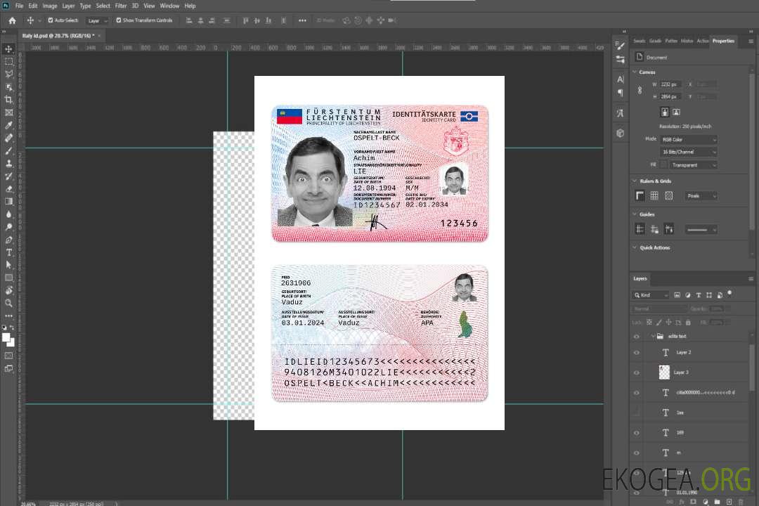 Carte d'identité du Liechtenstein 2024-présent template